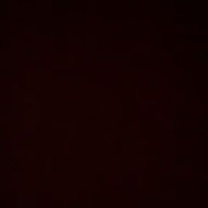 Meet your Posher, Tamara